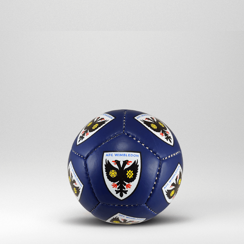 Size 1 Personalised Mini Football PVC