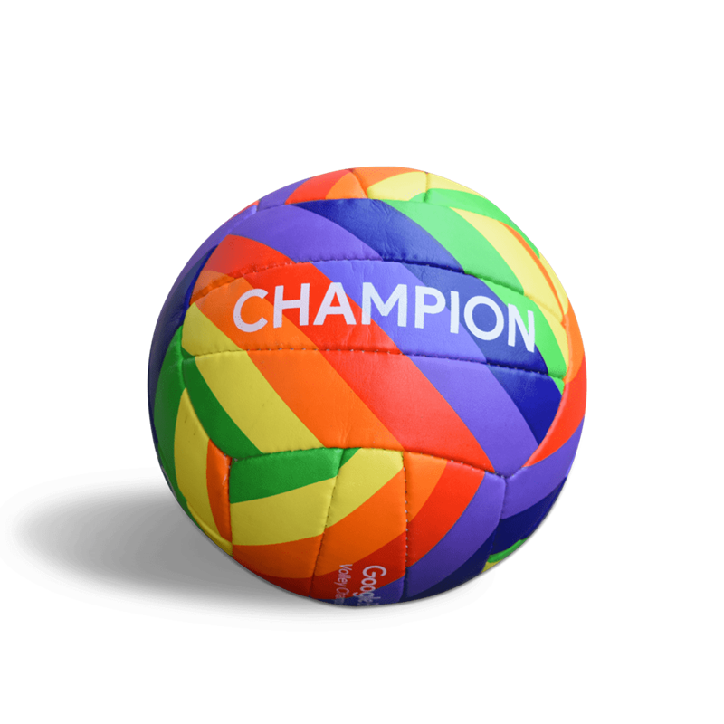 Professional Volleyballs Full Size