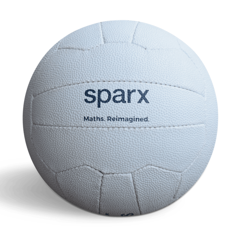 Professional/Training Netball Size 5